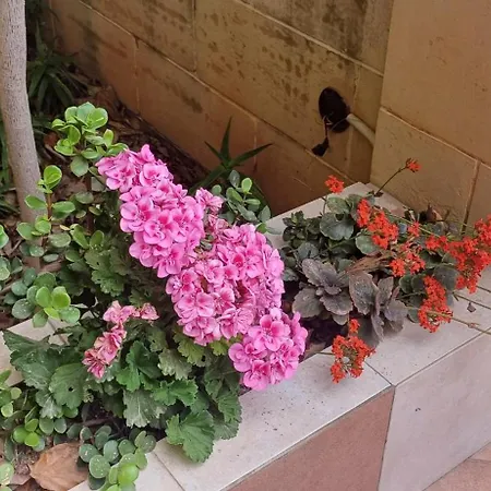 Cosy Spacious Maisonette Marsaskala