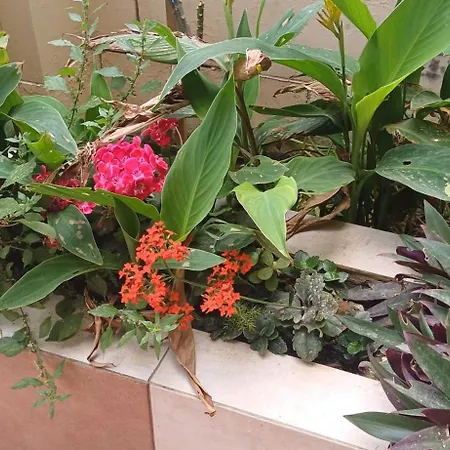 Cosy Spacious Maisonette *