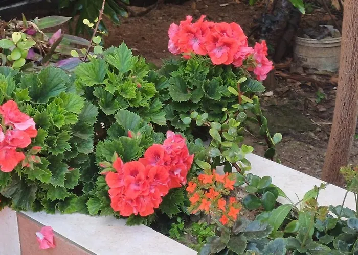 Cosy Spacious Maisonette Apartman