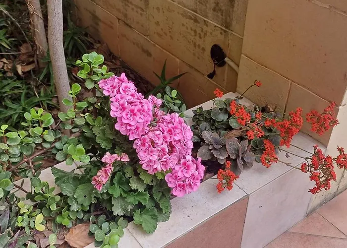 Cosy Spacious Maisonette Marsaskala