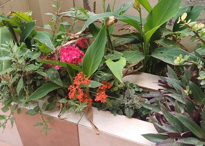 Cosy Spacious Maisonette *